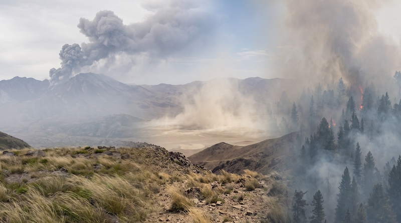 ¿Qué son los contaminantes naturales?